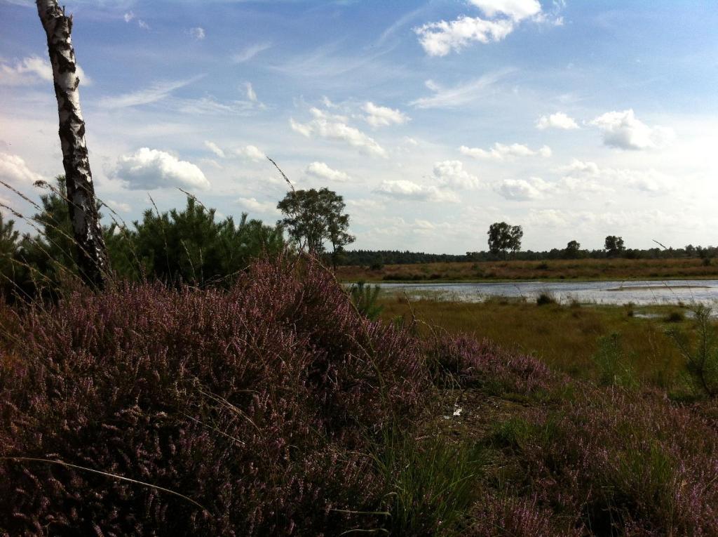 B&B Leendershoeve In Heusden Άστεν Εξωτερικό φωτογραφία