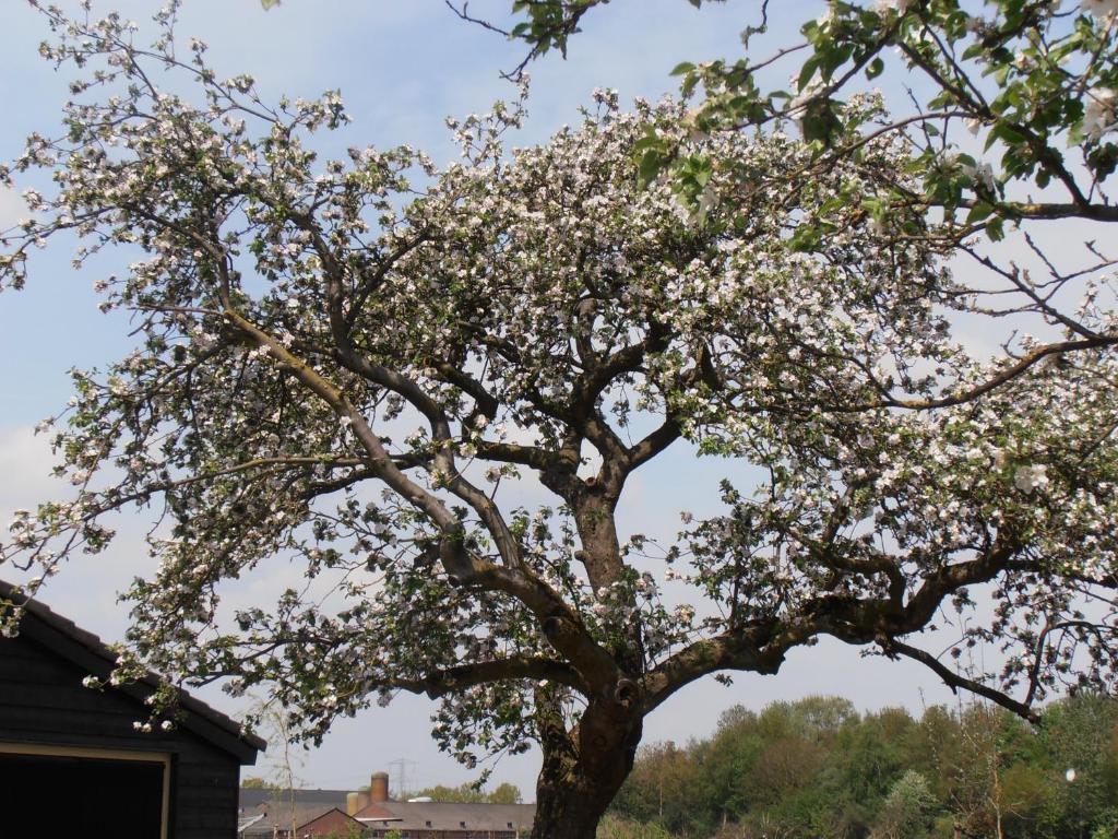 B&B Leendershoeve In Heusden Άστεν Εξωτερικό φωτογραφία